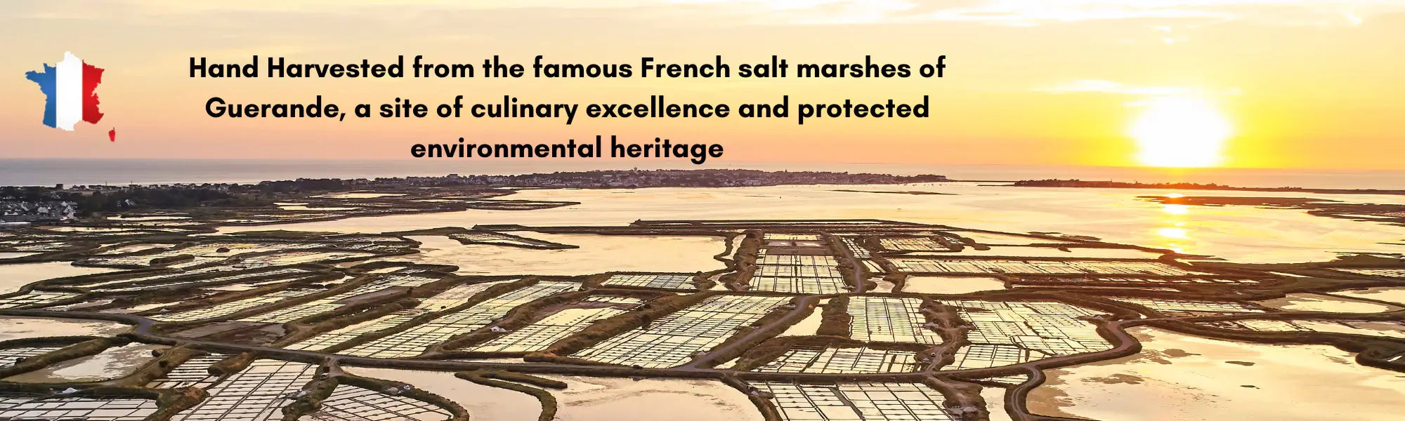 Harvested famous french salt marshes of guerande