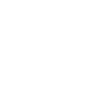 Premium French Harvested Salt